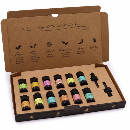 Aromatherapy Essential Oil Gift Set 12 x 5ml - Summer Edition