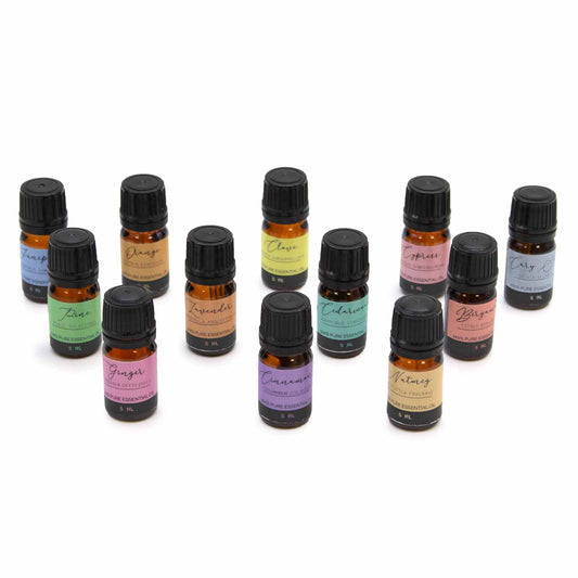 Aromatherapy Essential Oil Gift Set 12 x 5ml - Autumn Edition