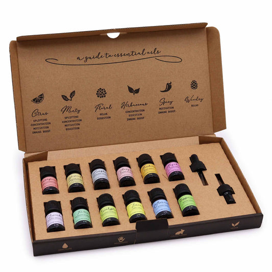 Aromatherapy Essential Oil Gift Set 12 x 5ml - Starter Pack