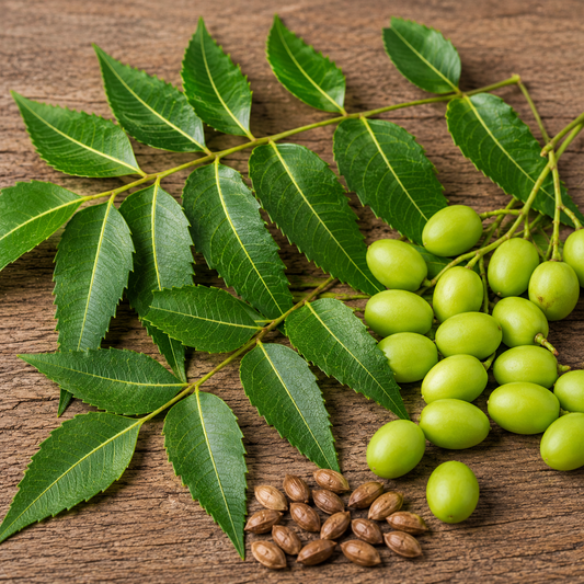Neem Oil 1 Litre | 100% Pure Cold Pressed Neem Oil for Skincare & Soap Making