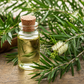 Tea Tree 0.5Kg for Diffusers, Massage & Skincare