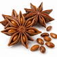Aniseed China Star (Star Anise) Essential Oil 50 ml Professional Essential Oil for Massage, Soap & Aromatherapy