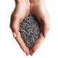 Lavender Flowers 1kg - Premium French Botanicals