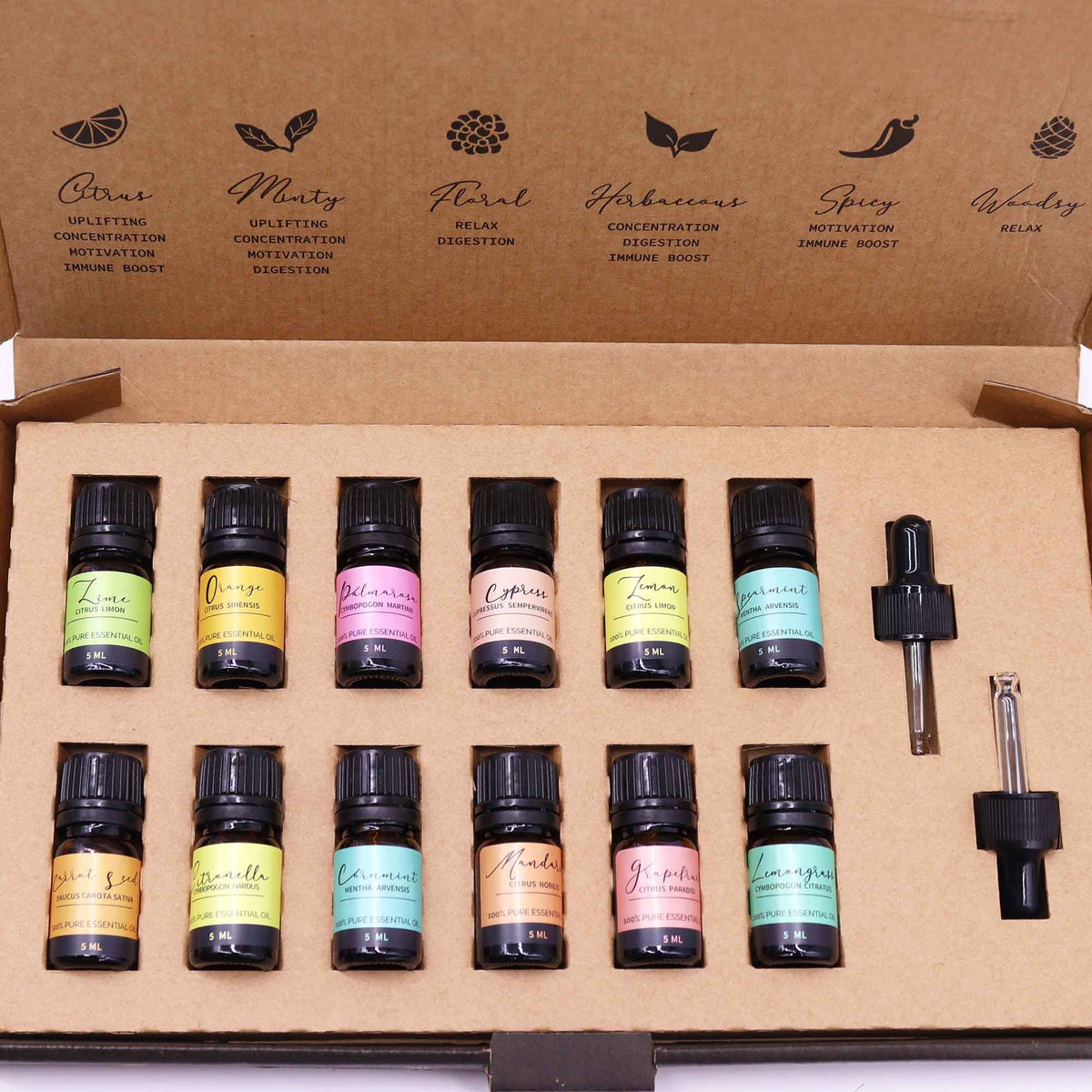 Aromatherapy Essential Oil Gift Set 12 x 5ml - Summer Edition