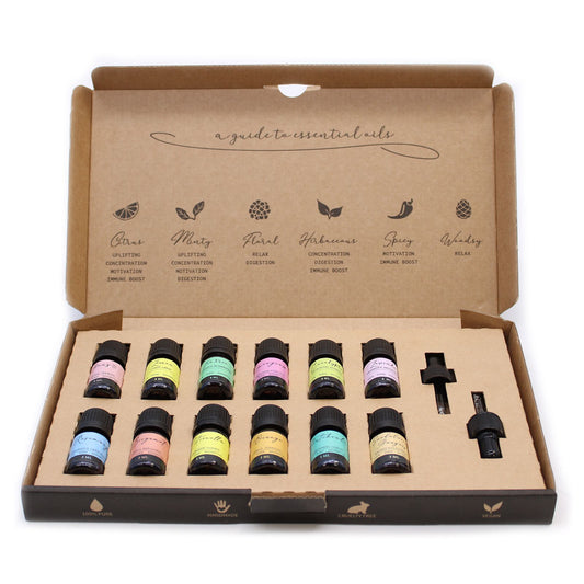 Top 12 Aromatherapy Essential Oil Gift Set 12 x 5ml