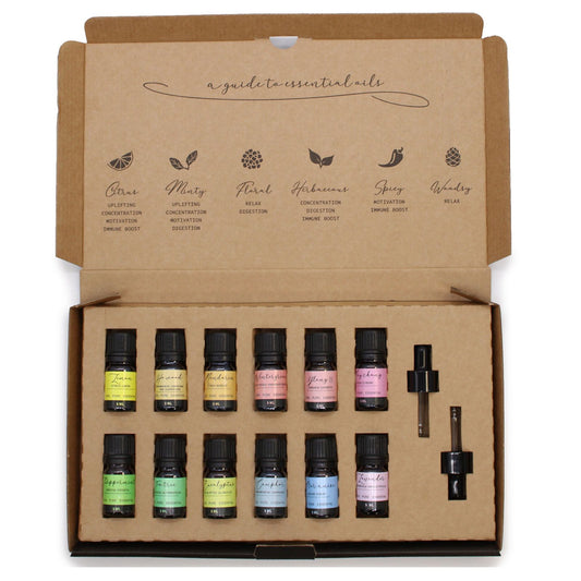 Aromatherapy Essential Oil Gift Set 12 x 5ml - Starter Pack
